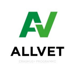Allvet Logo 2